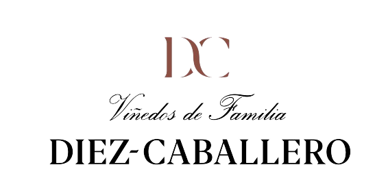 Logo diez-caballero